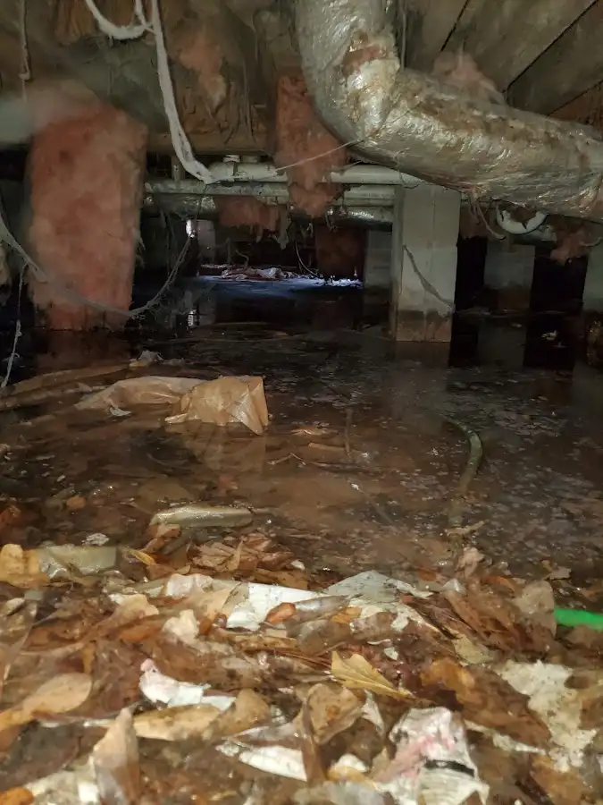 Crawl space flood assessment for Commercial Water Damage Restoration in Piney Green