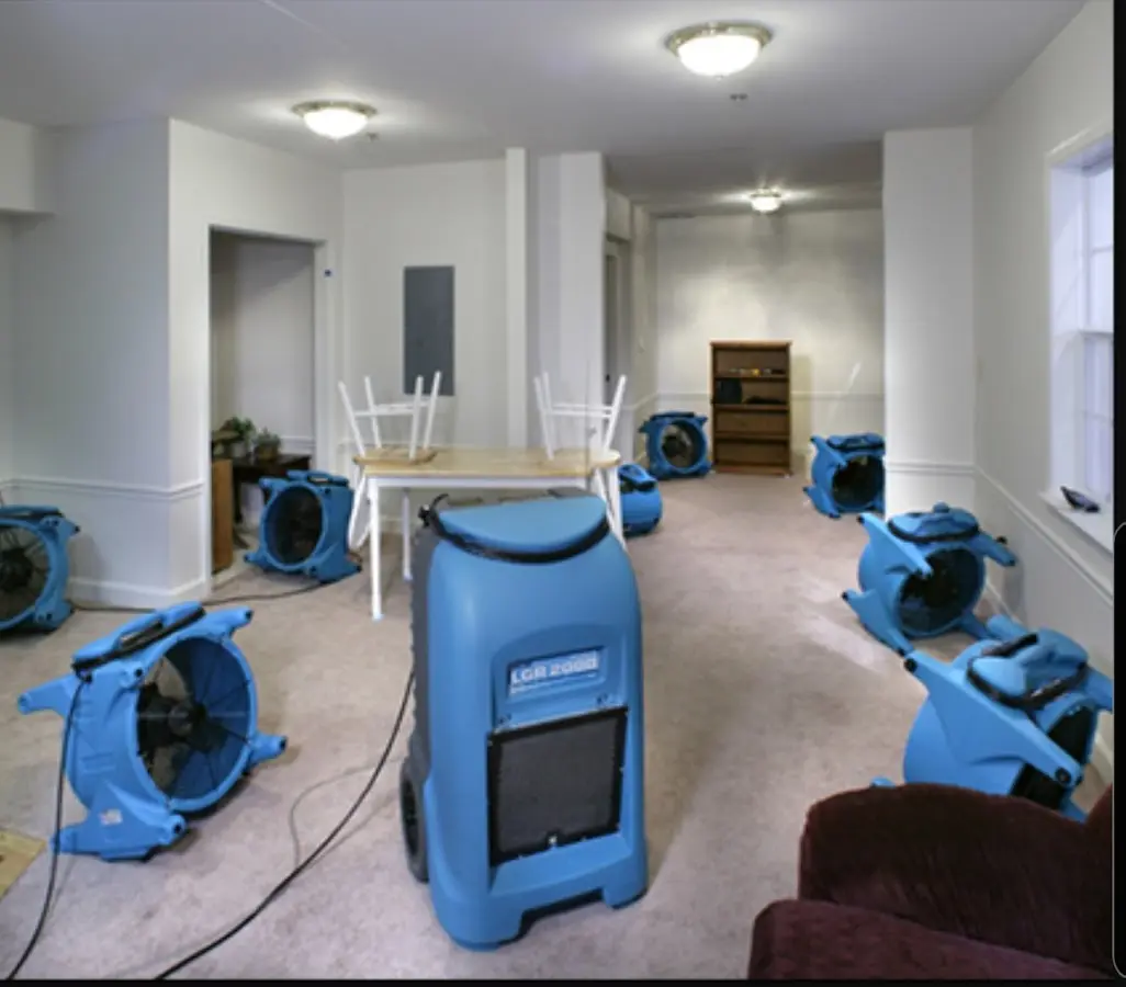 Air movers and dehumidifier setup for Water Extraction & Removal in Piney Green